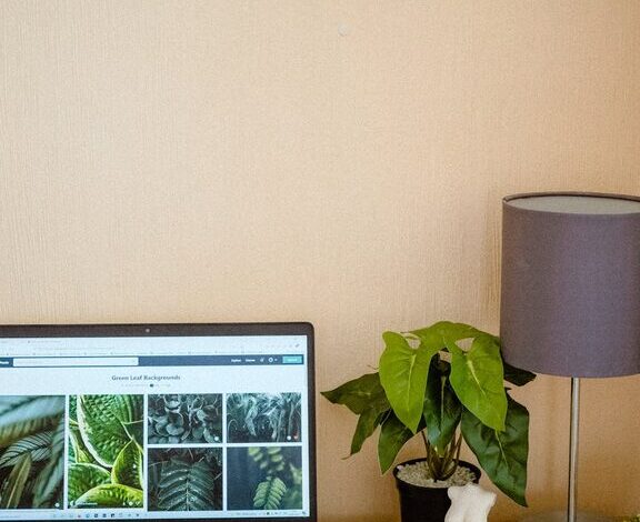 How to Create a Cozy and Productive Home Office Space